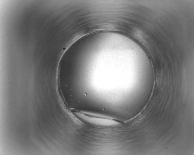 X0000070881378200606302126