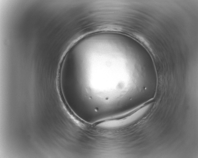 X0000070881379200606302126