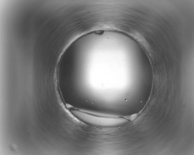 X0000070881382200606302126