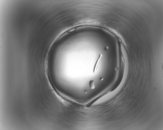 X0000070881383200606302126