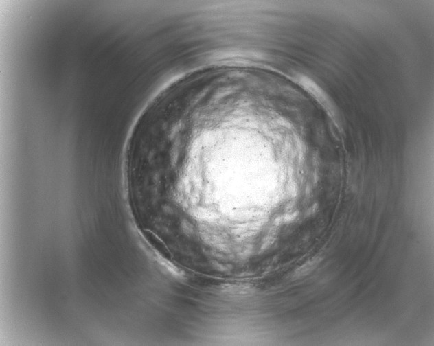 X0000070881384200606302126