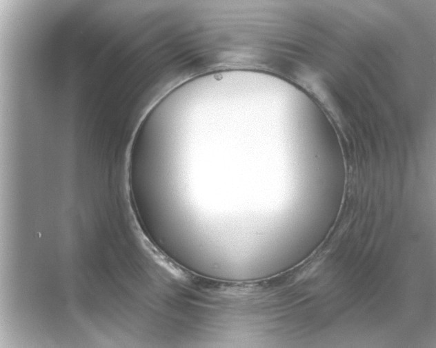 X0000070881386200606302126