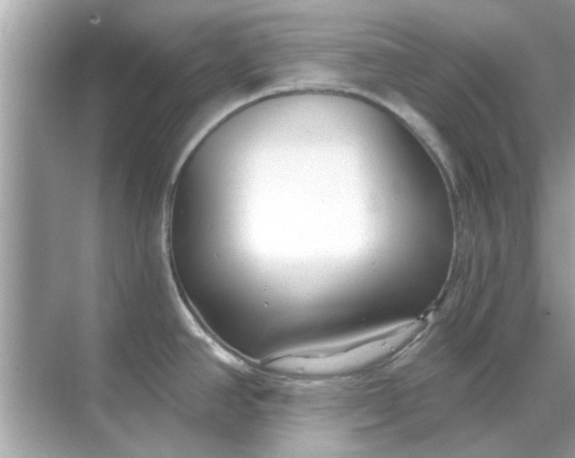 X0000070881390200606302126