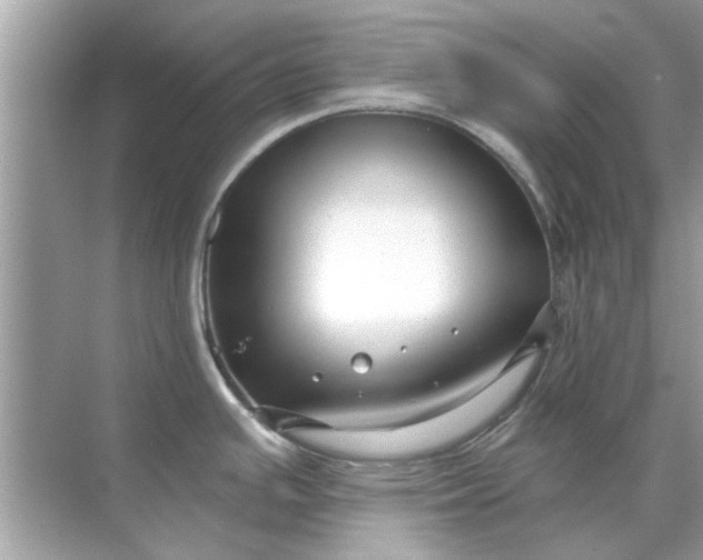 X0000070881391200606302126