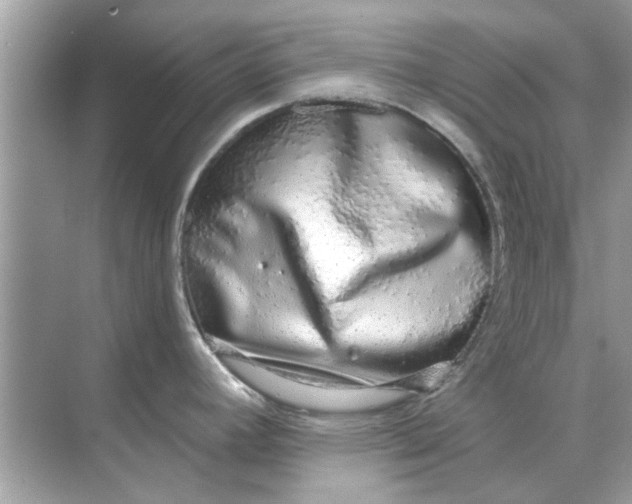 X0000070881392200606302126