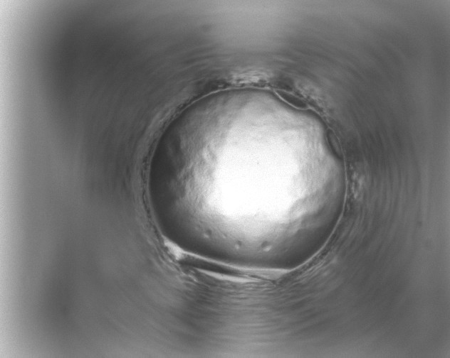 X0000070881393200606302125