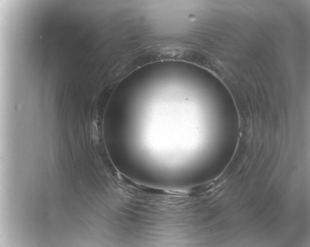 X0000070881394200606302125