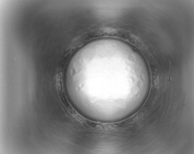 X0000070881397200606302125