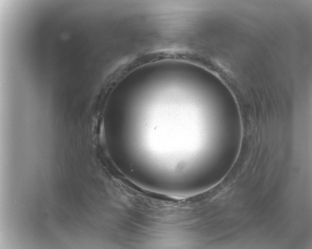 X0000070881398200606302125