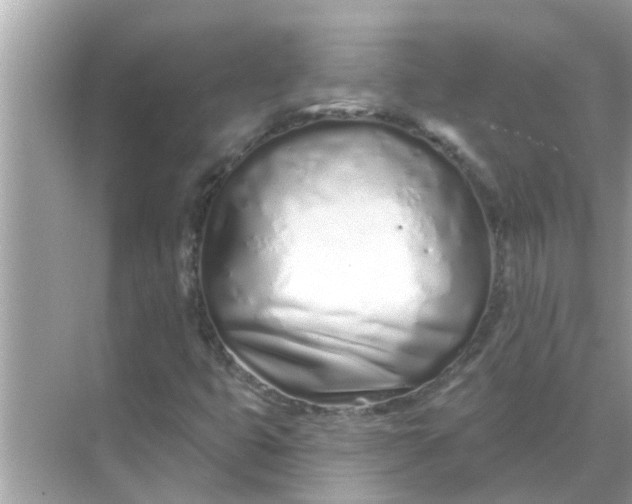 X0000070881399200606302125