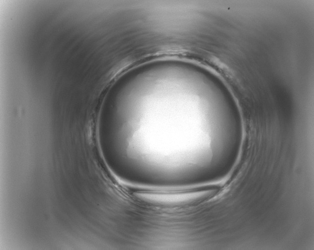 X0000070881401200606302125