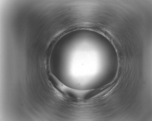 X0000070881402200606302125