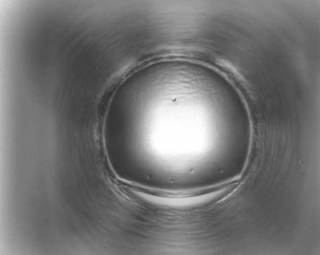 X0000070881403200606302125