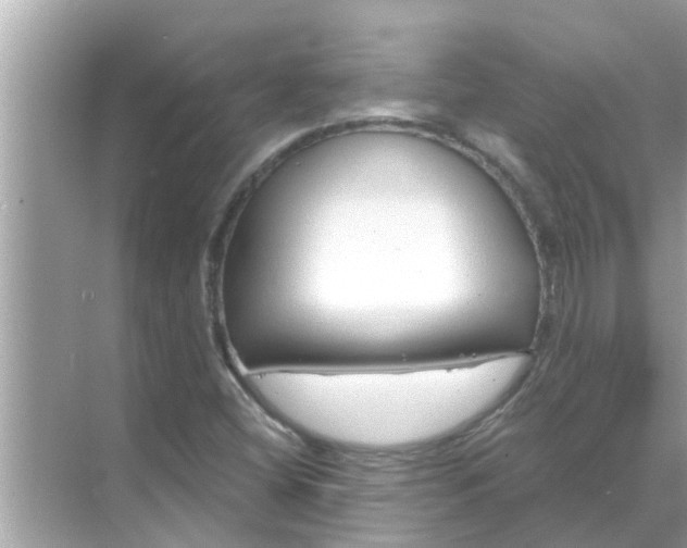 X0000070881404200606302125