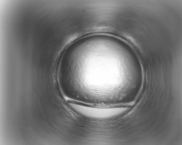 X0000070881405200606302125