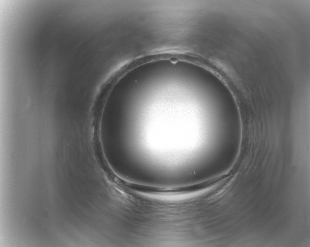 X0000070881406200606302125