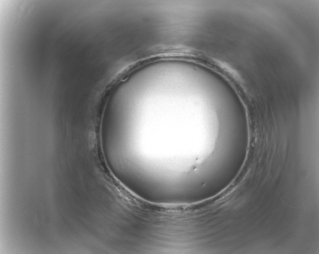 X0000070881407200606302125