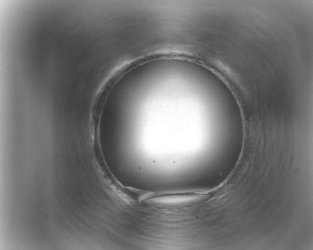 X0000070881408200606302125