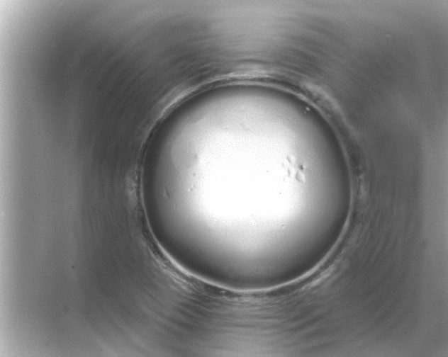 X0000070881409200606302125