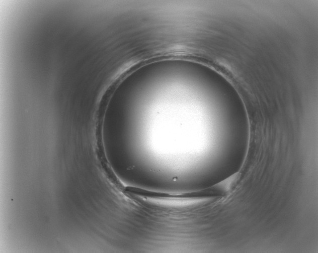 X0000070881410200606302125