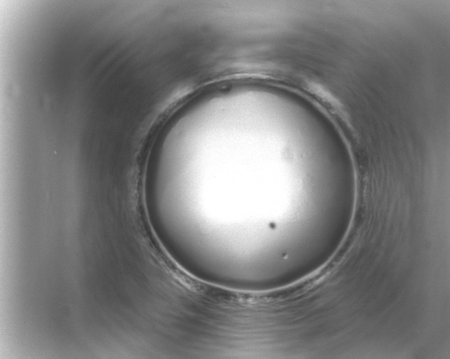 X0000070881411200606302126