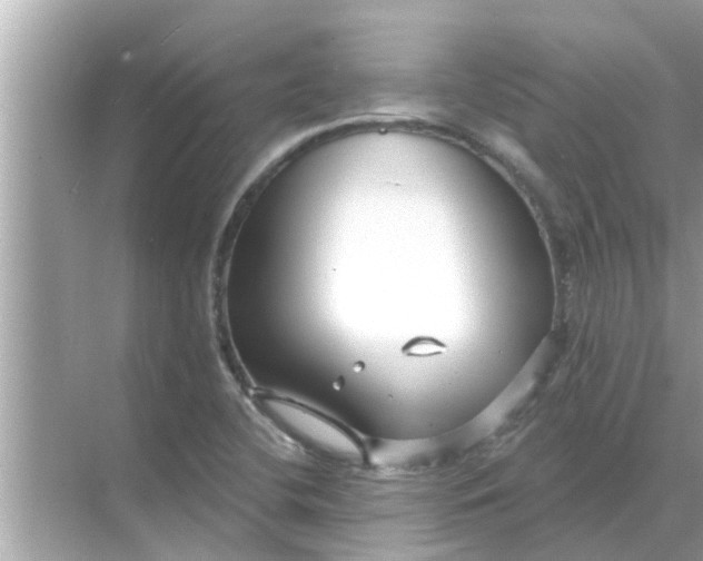 X0000070881412200606302126