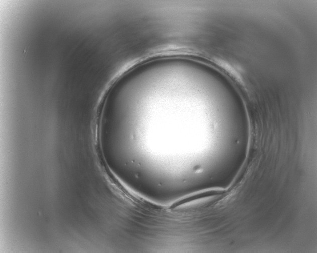 X0000070881413200606302126