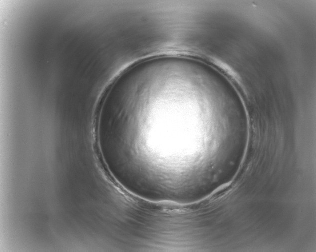 X0000070881415200606302126