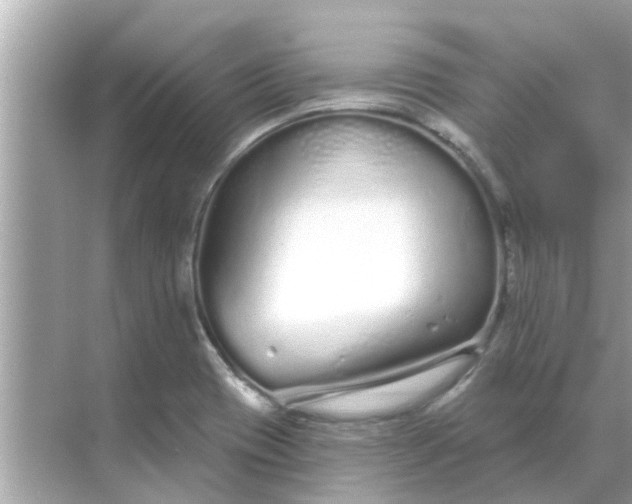 X0000070881417200606302126