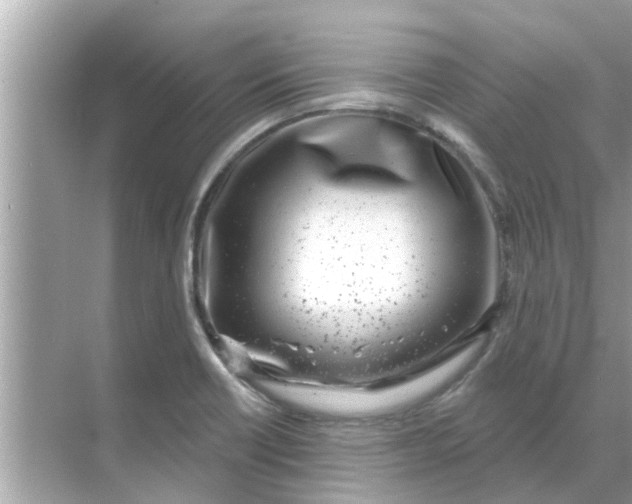 X0000070881418200606302126