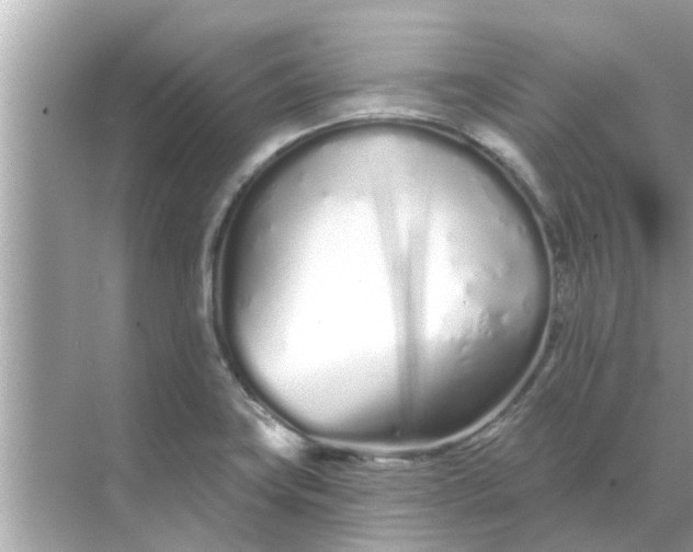 X0000070881419200606302126