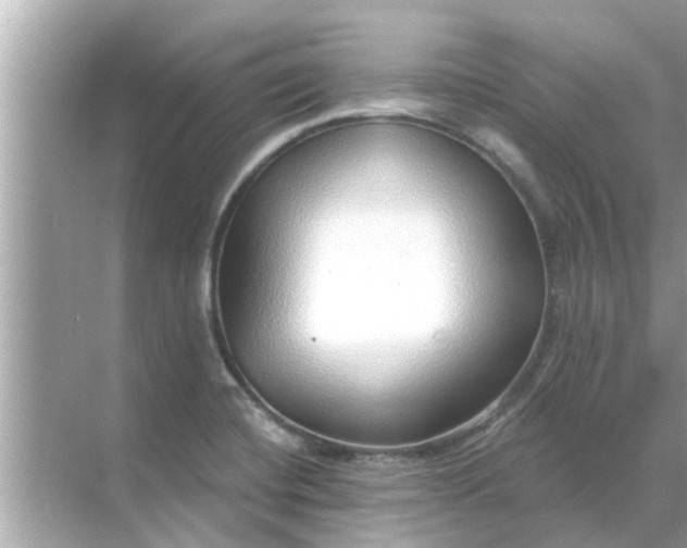 X0000070881420200606302126