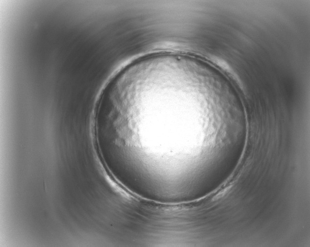 X0000070881421200606302126