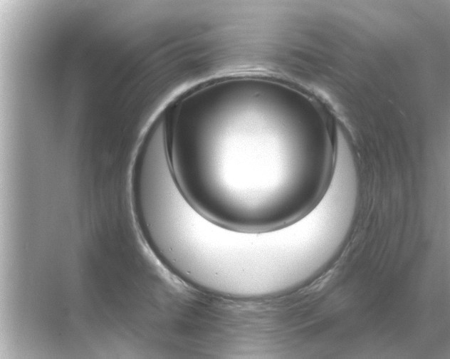 X0000070881422200606302126