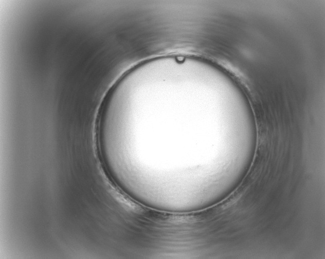 X0000070881423200606302126