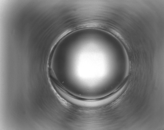 X0000070881426200606302126