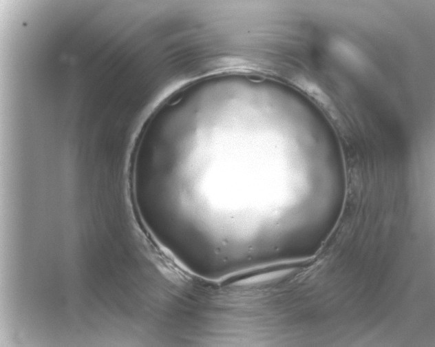 X0000070881427200606302126