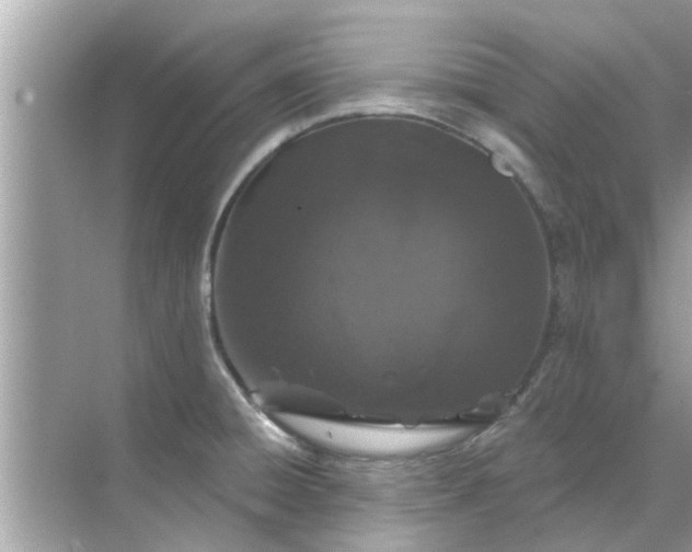 X0000070881428200606302126