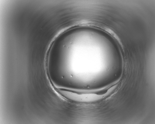 X0000070881429200606302126