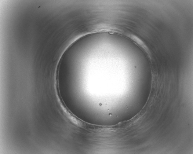 X0000070881431200606302126