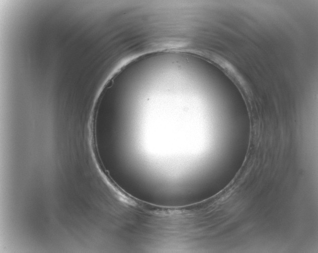 X0000070881432200606302126