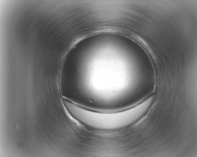 X0000070881433200606302126