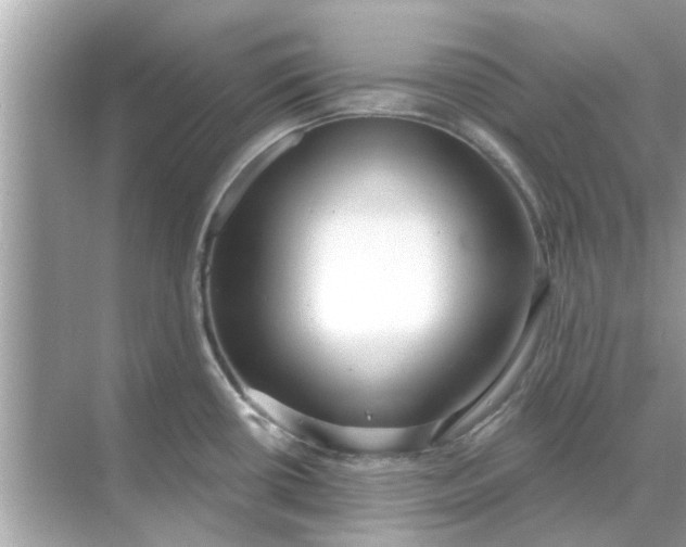 X0000070881434200606302126