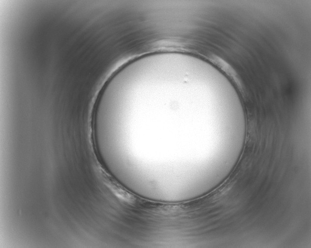 X0000070881435200606302126