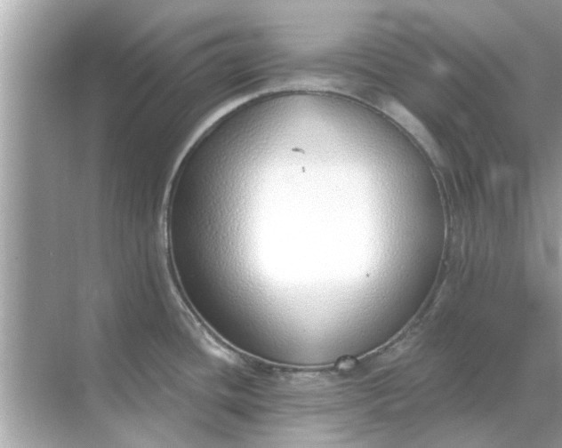 X0000070881436200606302126