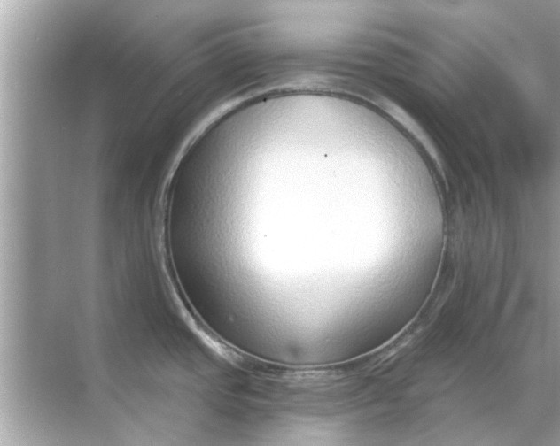 X0000070881437200606302126