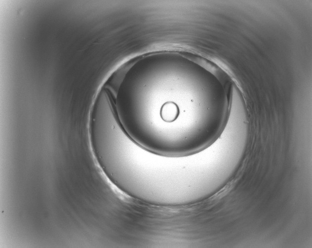 X0000070881438200606302126