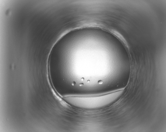 X0000070881439200606302126