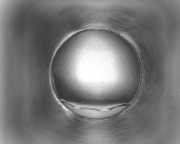 X0000070881440200606302126