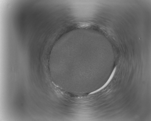 X0000070881441200606302125